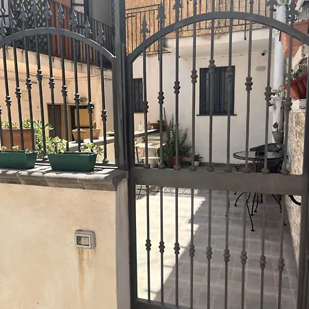 Apartment Bloom House